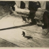 NIGHT SHADOWS
