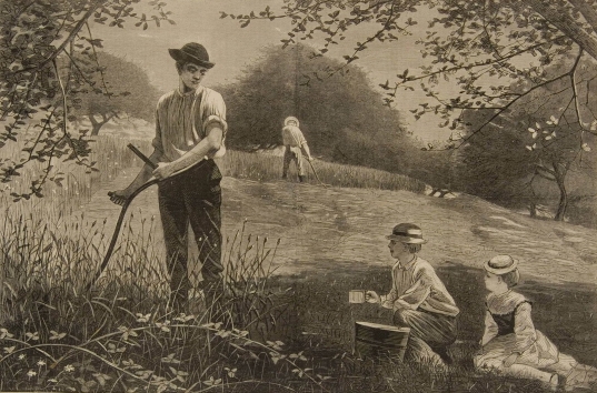 Making Hay, July 6, 1872 Making Hay