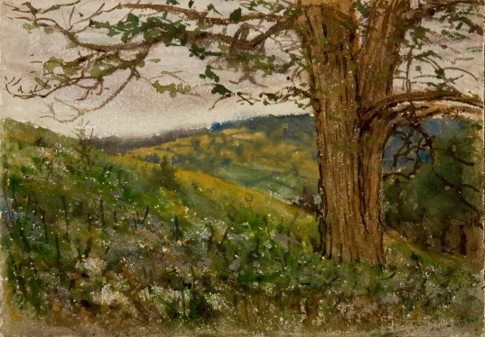 Landscape with Tree, c. 1880 Landscape with Tree