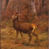 The Stag