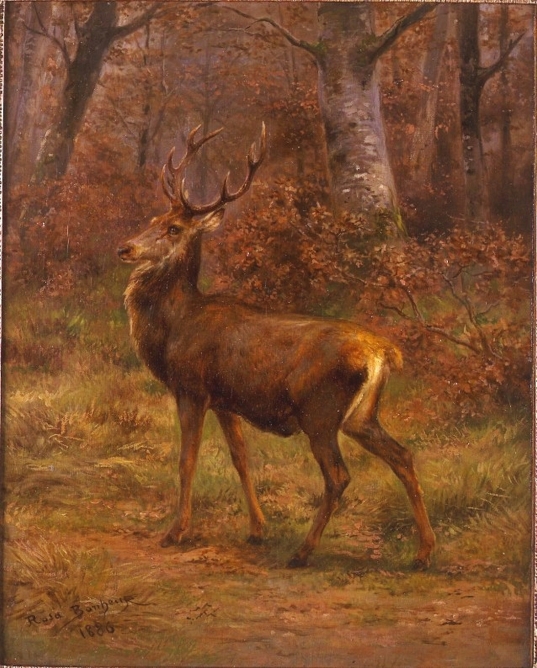 The Stag, 1886 The Stag