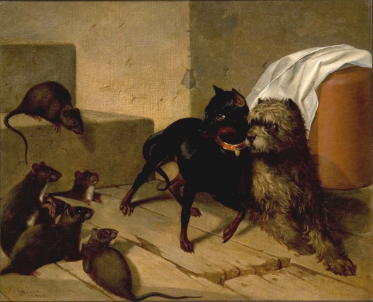 Two Dogs Cowering before Rats, 1866 Two Dogs Cowering before Rats